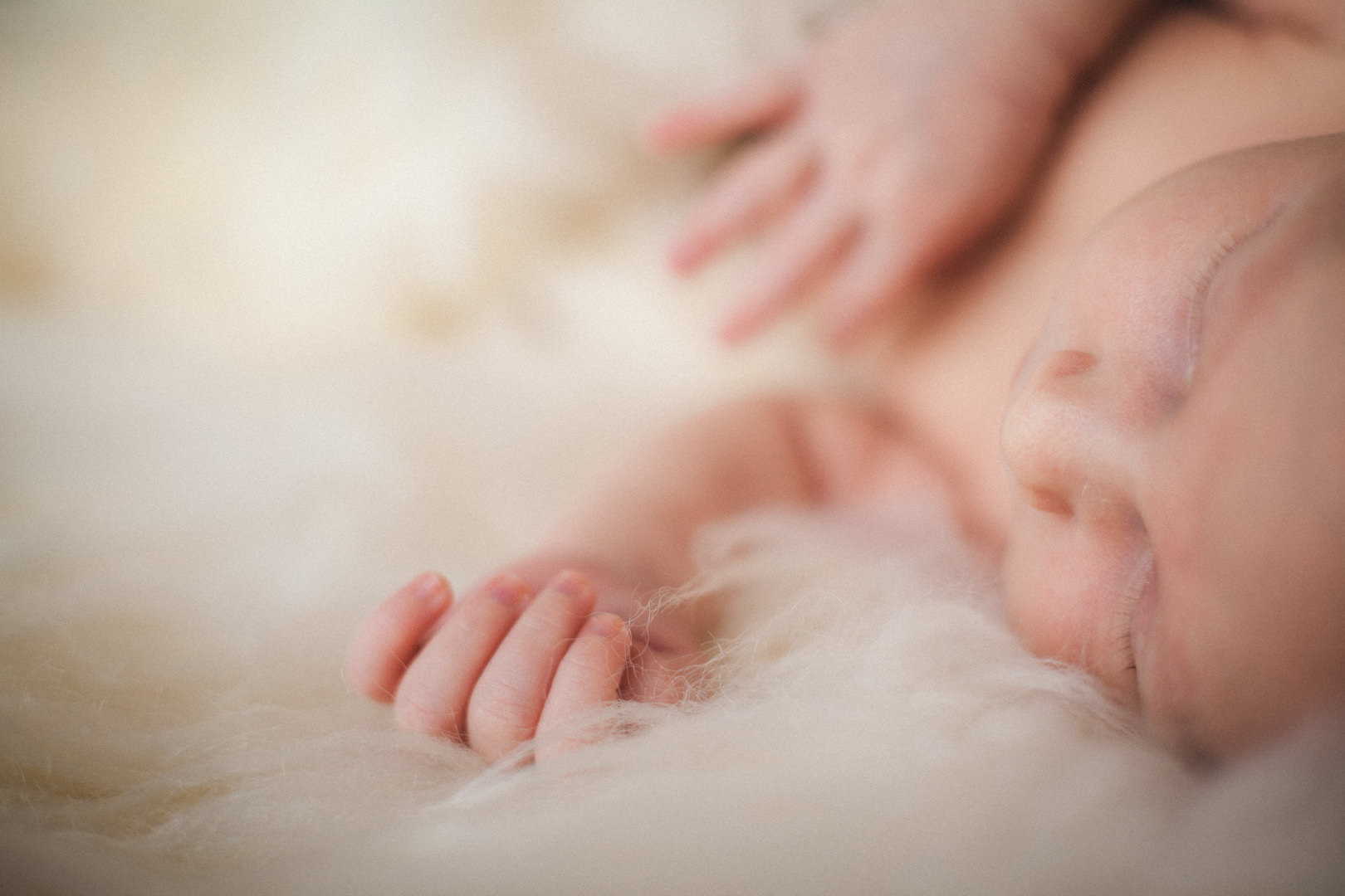Niemowlę leżące na skórze owczej Fotografia dziecięca Patrycja i Augustyn